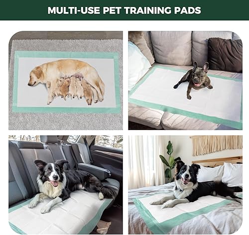 Miniatura 7 de FXW Almohadillas XXL para orina de cachorros de 60 x 33.5 pulgadas, 20 unidades, 5 capas súper absorbentes y a prueba de fugas, almohadilla de