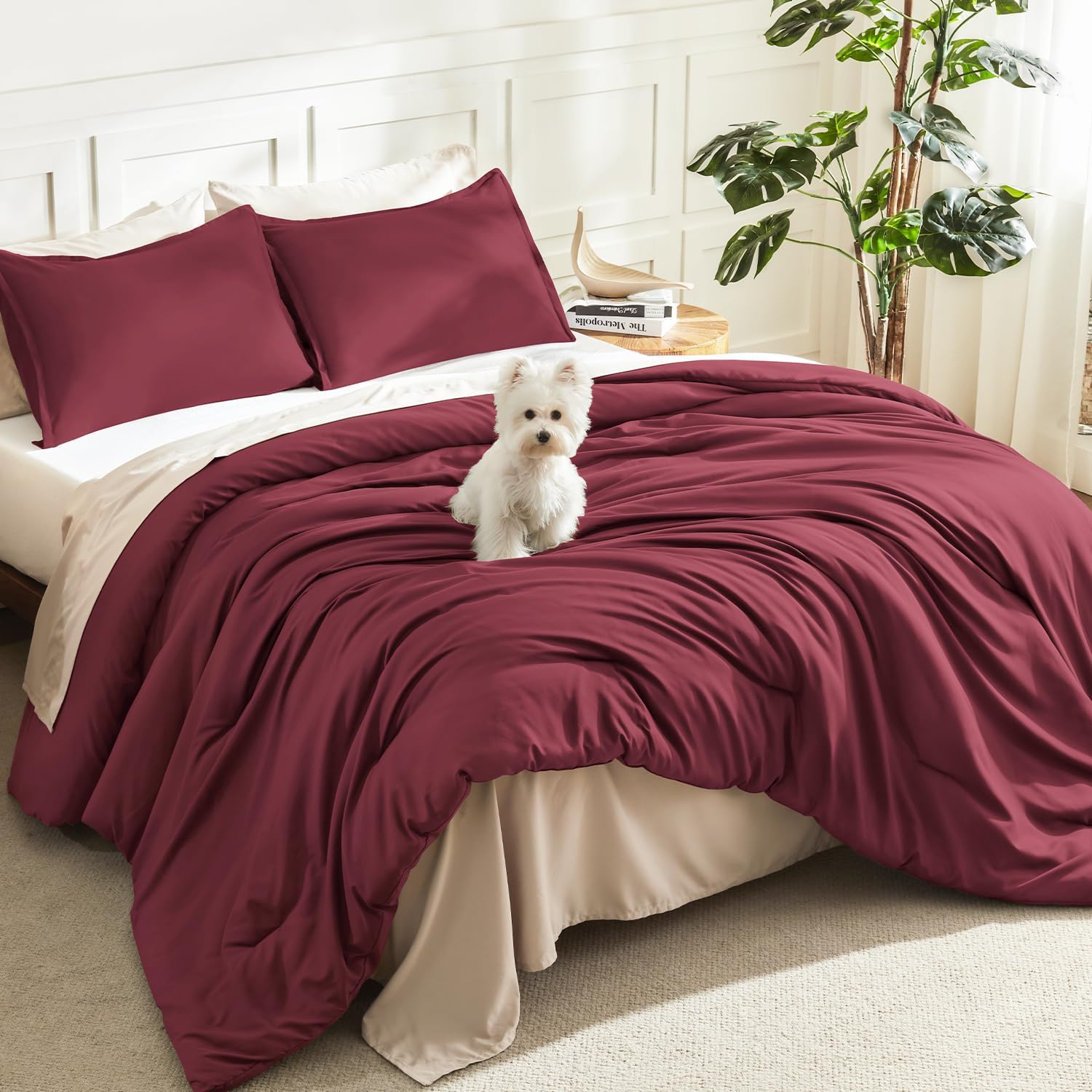 Litanika Queen Comforter Set Beige, 3 Pieces Lightweight Fluffy Solid Bedding Comforter Set, Down Alternative Comforter All Season Bed Set Gift Choice