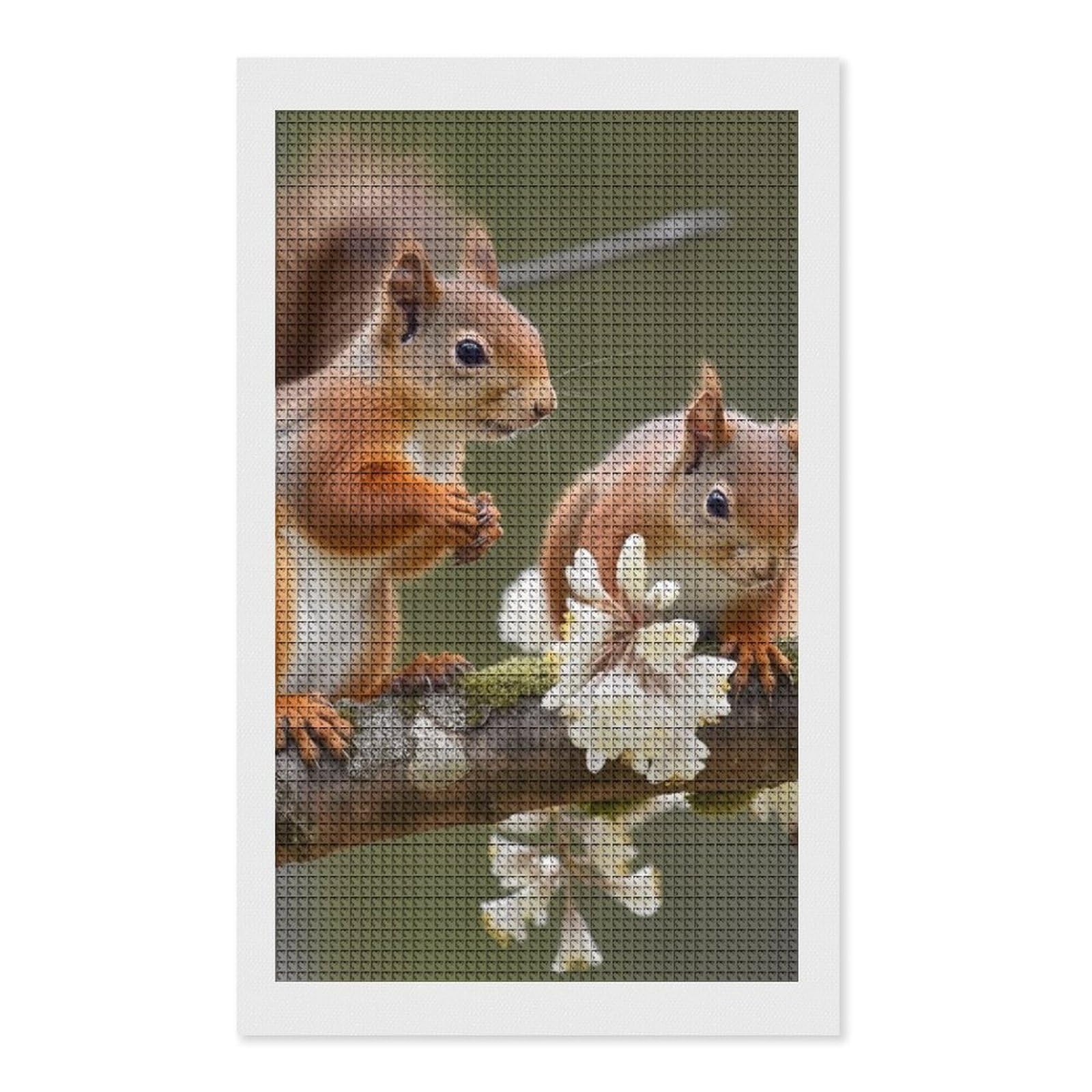 Squirrels Diamond Art Kits for Adults, DIY 5D Diamonds Painting Kits for Beginner, Round Full Drill Diamond Dots Painting, 12"x20" Diamonds Pictures Gem Art and Crafts Wall Decor