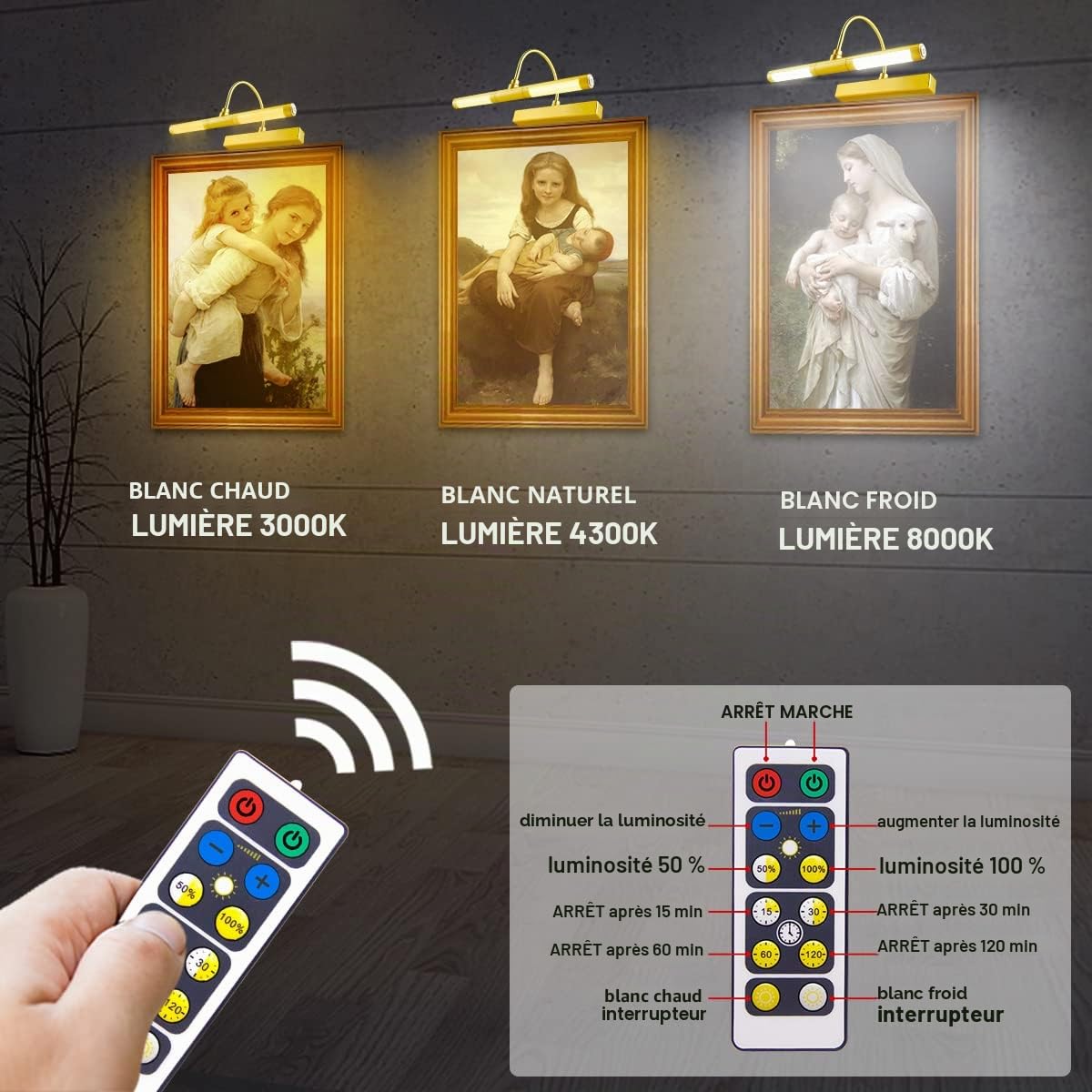 HONWELL Lampe Murale à Télécommande, tête d’éclairage rotative de 13 pouces avec 3 modes d’éclairage, lampe d’affichage à gradation avec minuterie pour le cadre de peinture