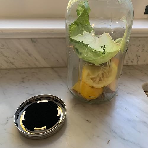 Miniatura 2 de Jarware Tapa de tarro de masón, tapa de compost de acero inoxidable para tarros Mason de boca ancha, con 4 filtros de carbón