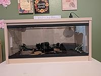 Review Image by Hailey Hailey