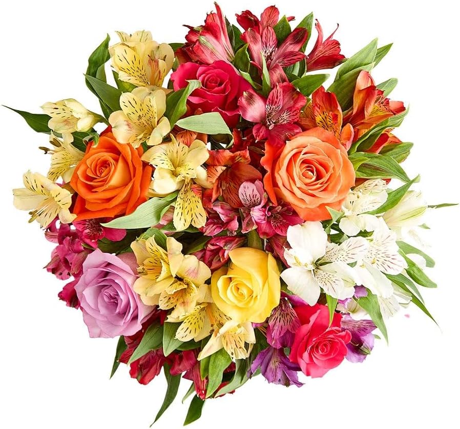 1800 Flowers – Assorted Bright Roses & Peruvian Lilies Single Bouquet (Bouquet Only) | Fresh Cut Spring Flowers for Delivery | Gift for Mother's Day, Anniversary, Sympathy, and Special Occasions