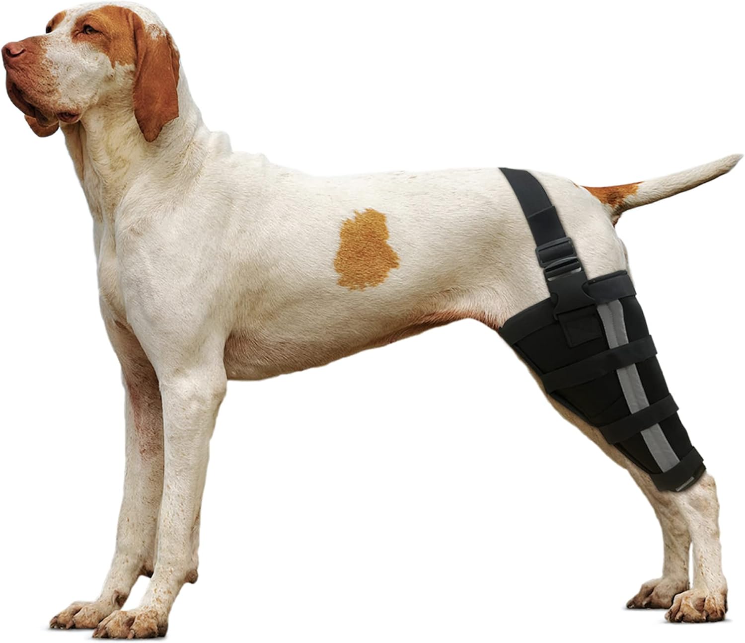 KERBIY LISPOO Dog ACL Brace Hind Leg for Luxating Patella