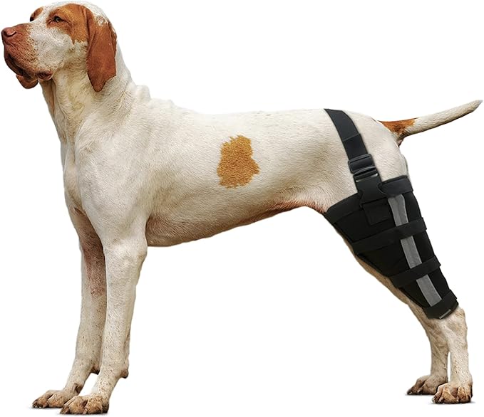 KERBIY LISPOO Dog ACL Brace Hind Leg for Luxating Patella