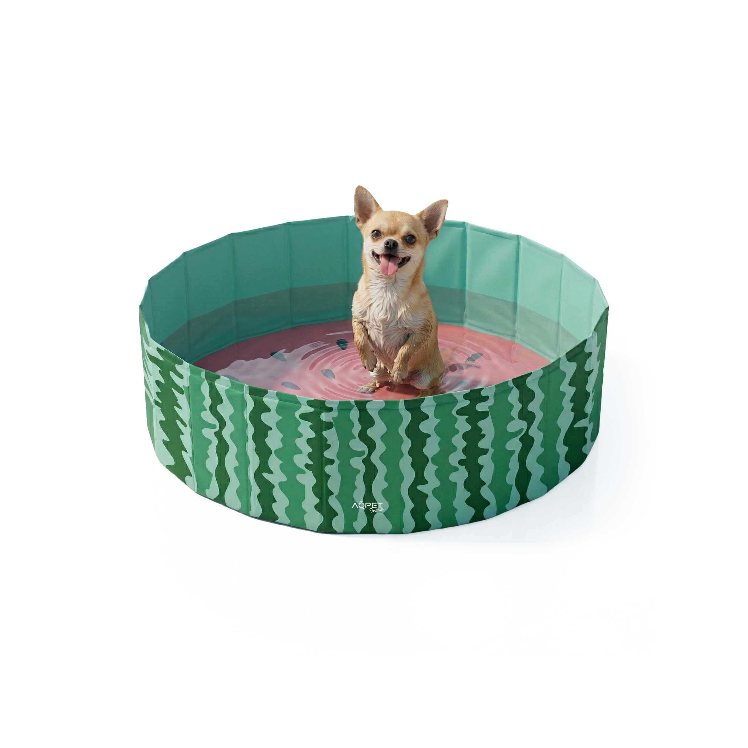 AQPET AqpetFriends Plastic Swimming Pool for Dog Pets Foldable Garden 80x20 (ØxH) Fancy Fruit