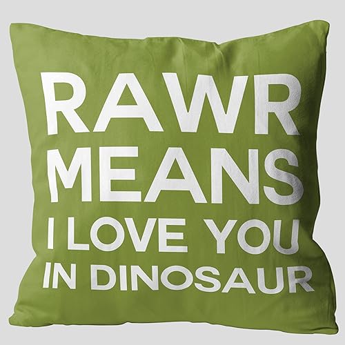 Rawr Means I Love You in Dinosaur - Fundas de almohada divertidas, lindas frases, 18 x 18 pulgadas, funda de almohada decorativa de franela para
