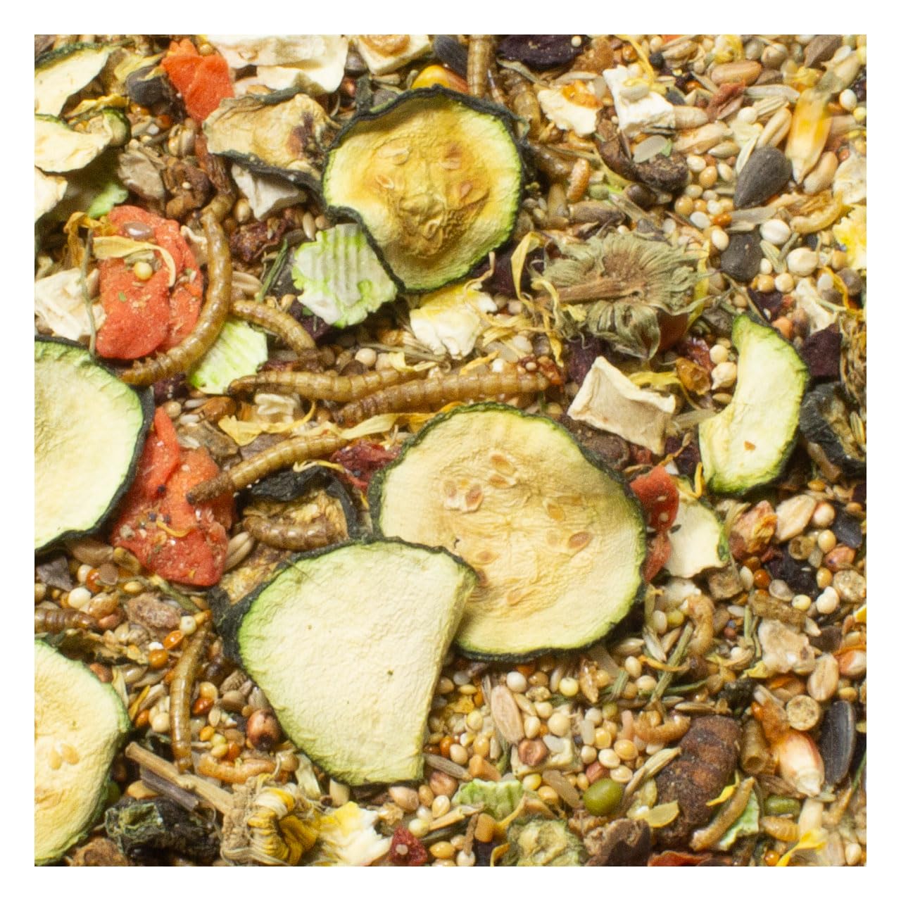JR FARM Farm Food Hamster 500g