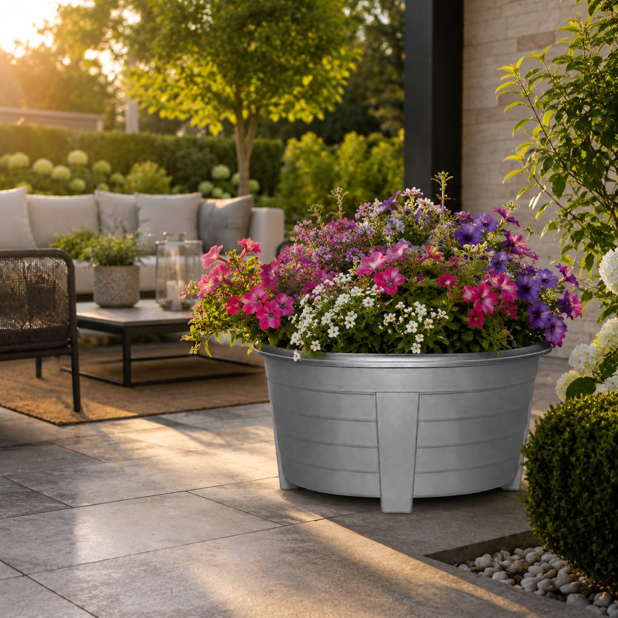 View 6