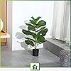 Product Photo 5
