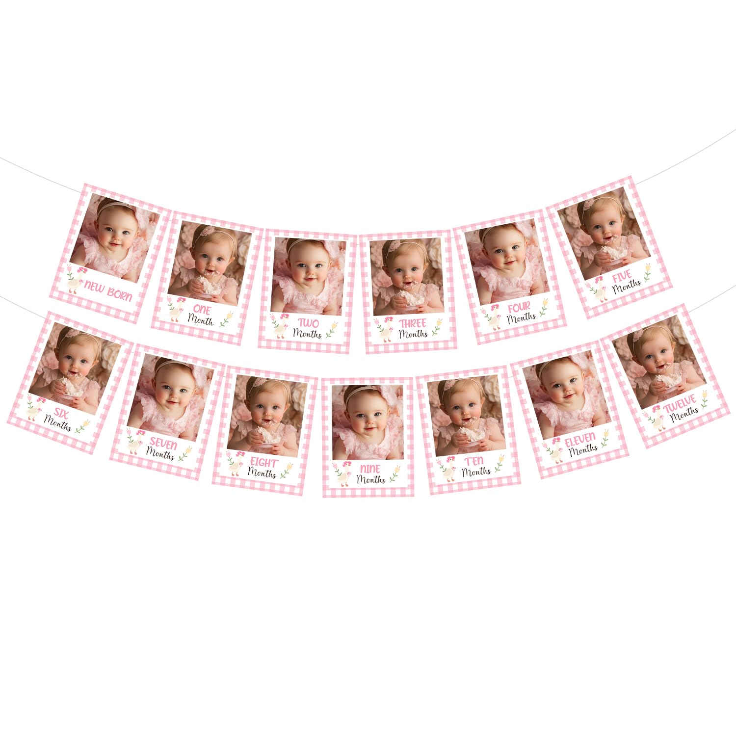 Goose Themed Birthday Party Decoration Pink One Silly Goose 1st Birthday Monthly Photo Banner from Newborn to 12 Months Pink Geese Photo Display Banner for Girl First Bday