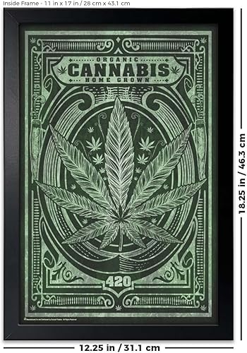 Vista 4 de Póster de cannabis orgánico cultivado en casa, 24 x 36 pulgadas