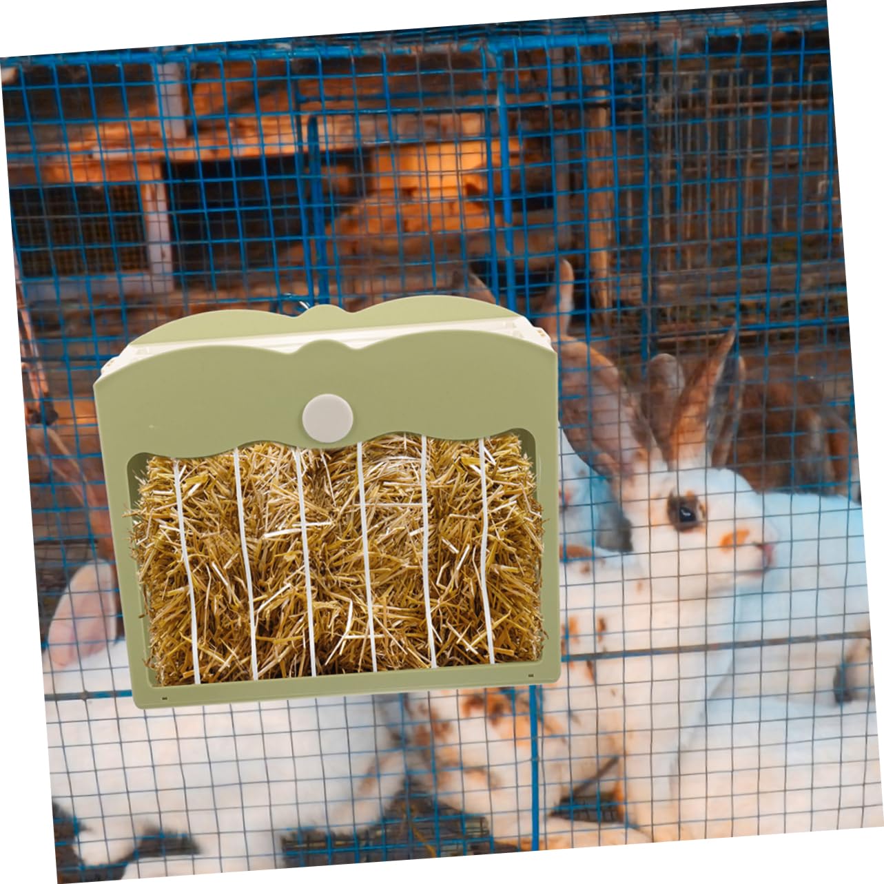 Yardwe Hasenfutterspender Mit Grasständer 2 Stück Kunststoffspender Futterspender Meerschweinchenhalter Tierfutterspender Spender Hasenständer Meerschweinchenfutterspender Käfigzubehör