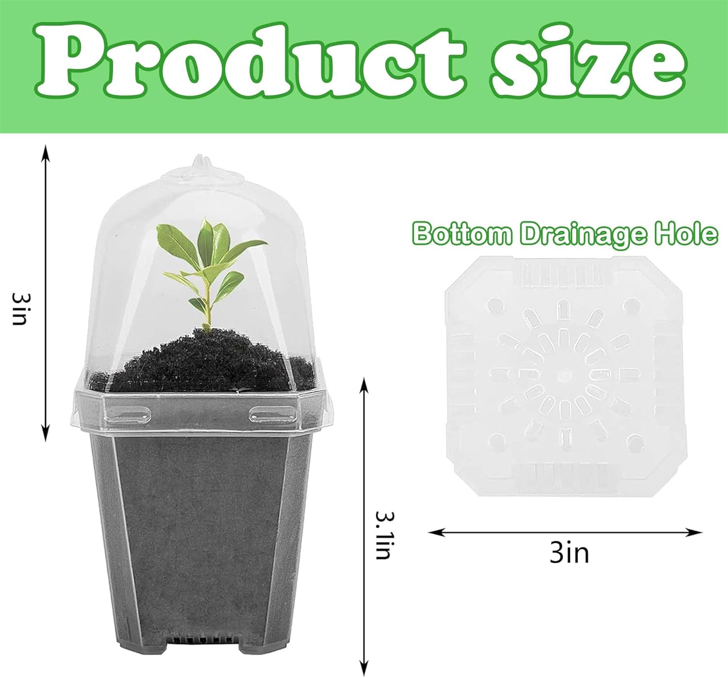 EBaokuup 50 Pcs Clear Plant Nursery Pots with Humidity Dome-3" Reusable Plastic Gardening Pot with Labels-Small Seed Starting Pots for Seedlings,Vegetables,Succulents,Cuttings - Image 2