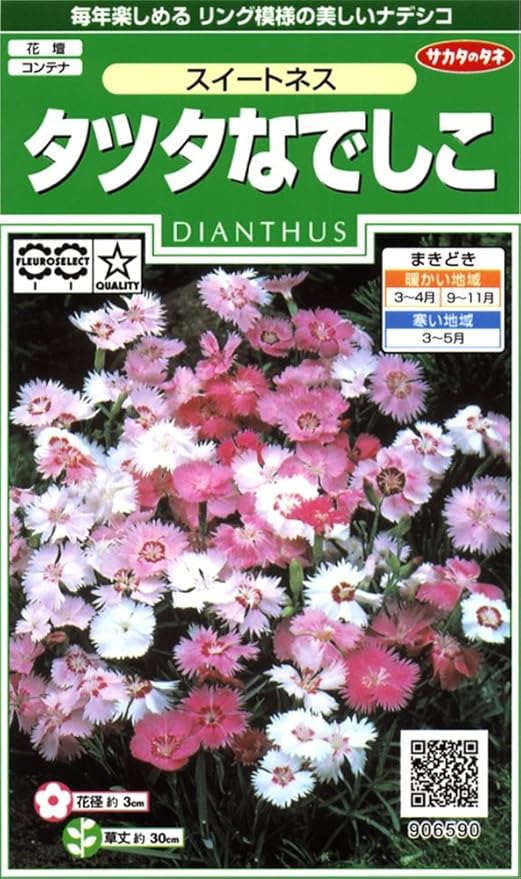 Amazon サカタのタネ 実咲花6590 タツタなでしこスイートネス 花