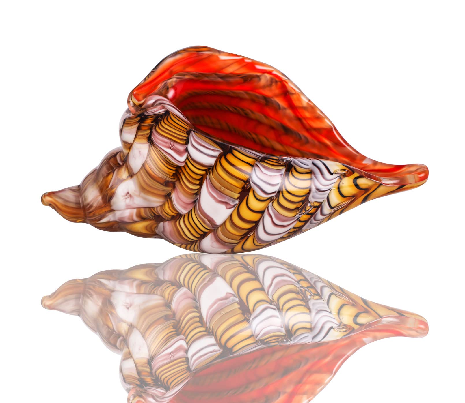 Amazon.co.jp: OISEGOP カラフルな巻き貝のギフト、手吹き貝のアート