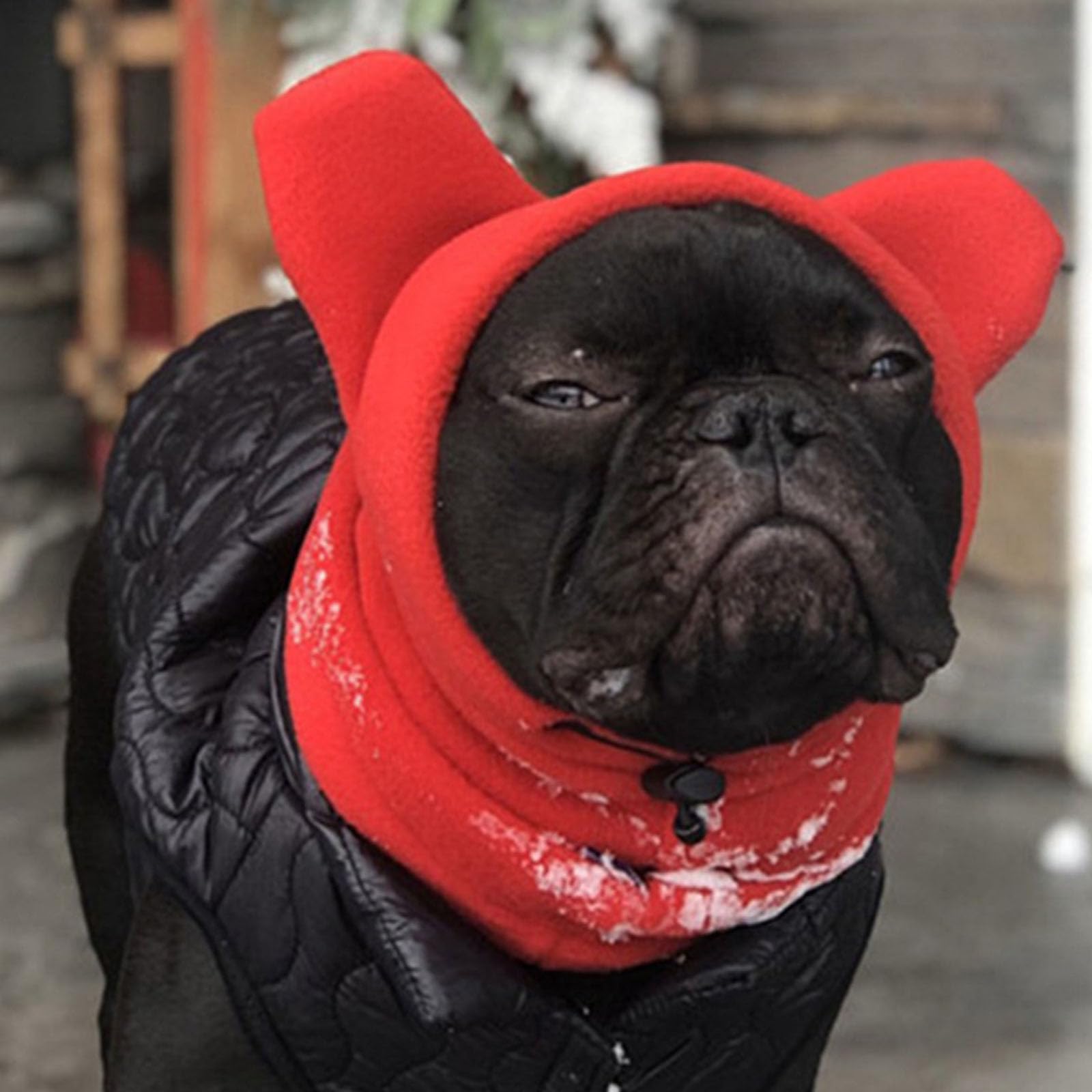 HDKUW Dog Hat with Cute Ear Shape, Dog Ear Muffs Noise Protection