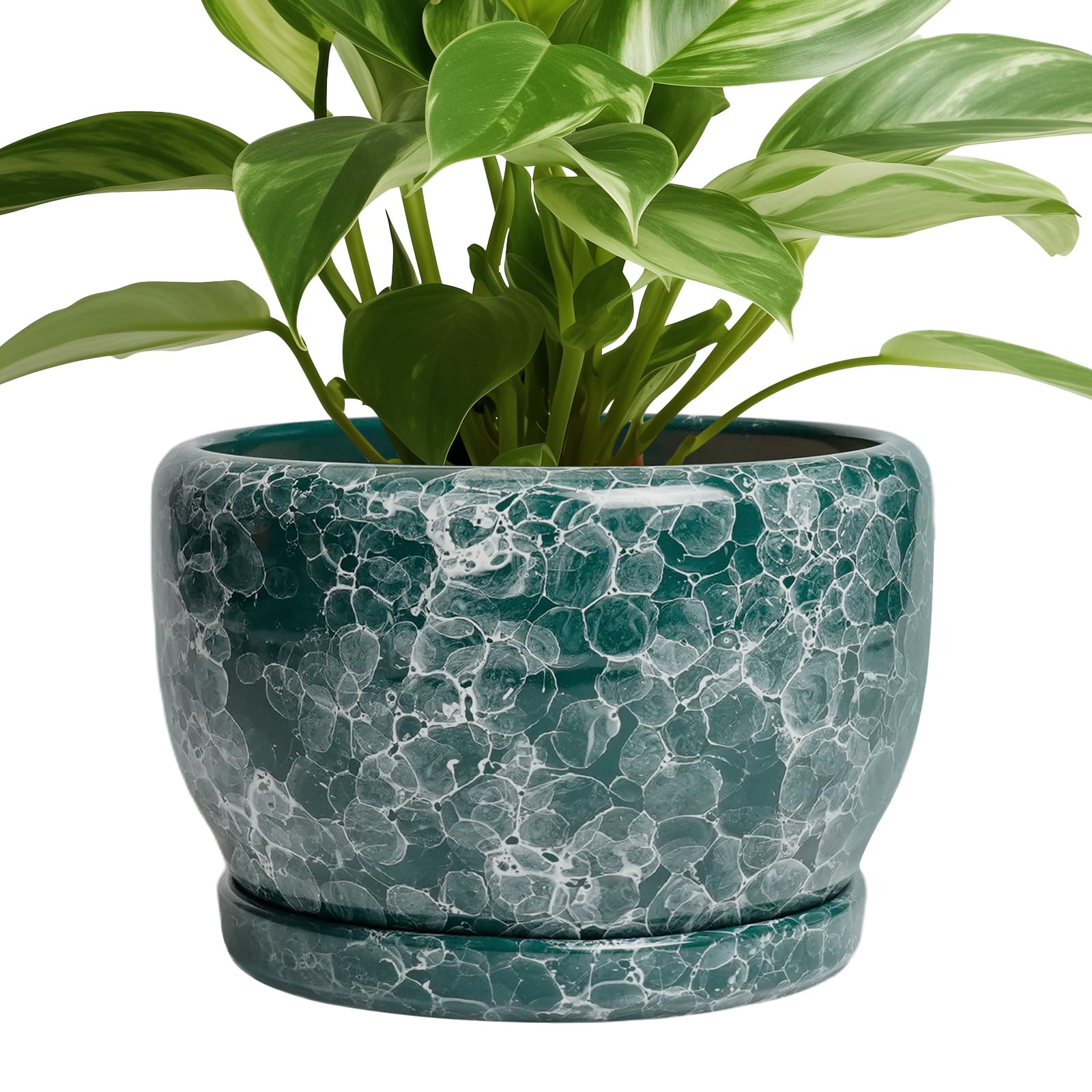SQOWL 8 Inch Plant Pot - Ceramic Planter for Indoor Plants, Decorative Flower Pot with Drainage Hole and Saucer, Round Planter Outdoor, Room Patio Decor, Garden Gifts for Women, Green โ image 1