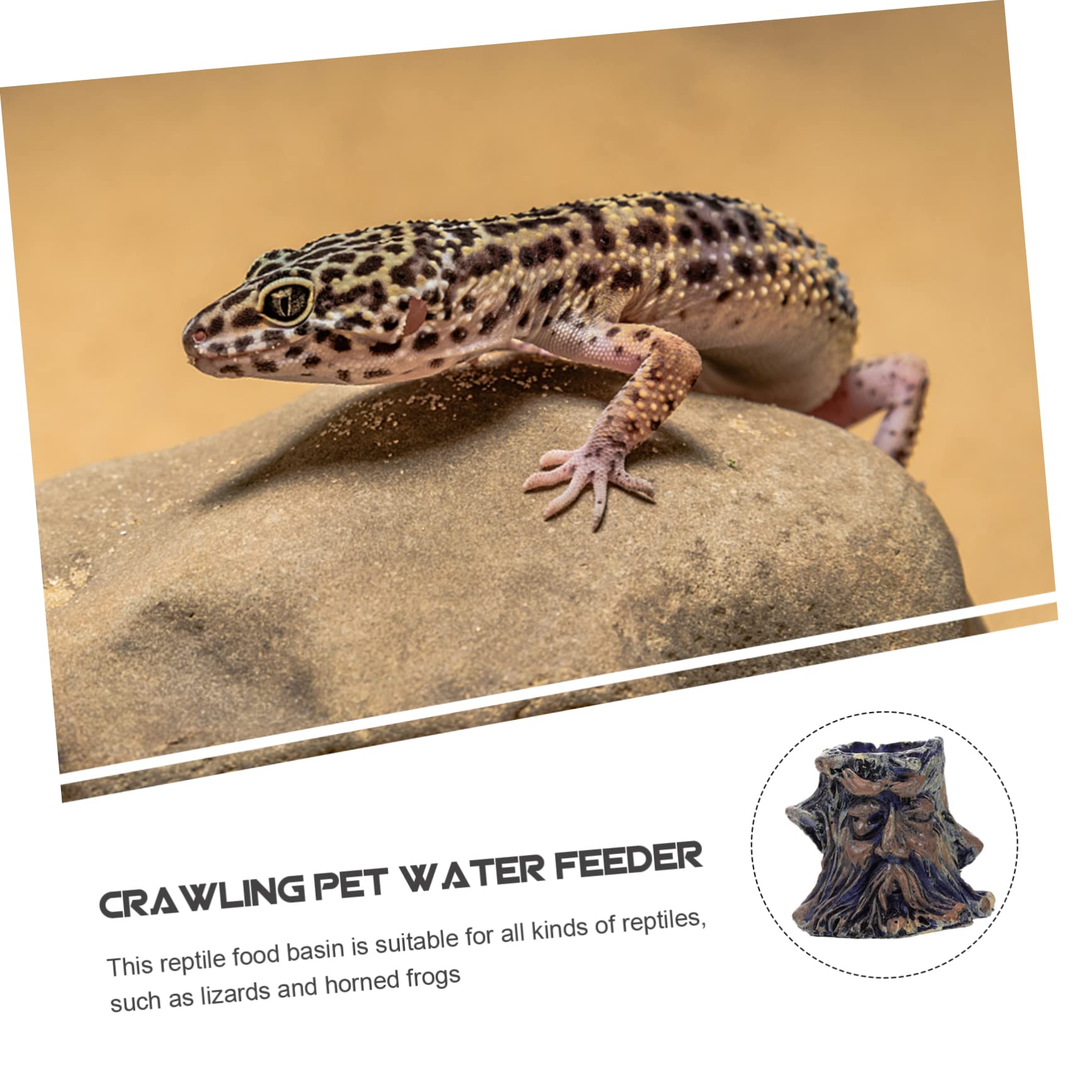 Cuenco de agua para reptiles Cuenco for alimentación de reptiles, 8 piezas, cuenco for reptiles, cuenco for baño de pájaros for mascotas, comedero for reptiles, plato de alimentación for reptiles, cue