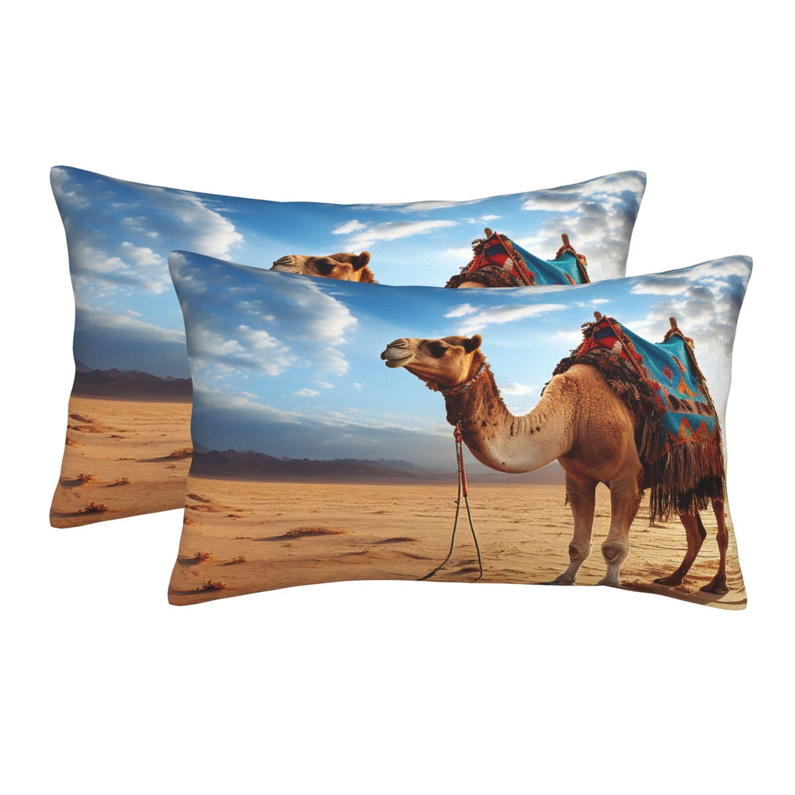 2 Pack Pillow Cases with Hidden Zipper, Soft Breathable Pillow Covers for Hair and Skin, Camel Blue Sky Pillowcases 20"x30" Bed Pillow Protectors Cover for Sleeping Gifts