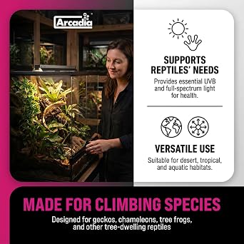 Arcadia T5 UVB Reptile Light Fixture Kit 12 Long 8 Watts 2.4% ShadeDweller-Arboreal Complete UVB Light for Arboreal Reptiles, Basking Lamp for Geckos and Tree-Dwelling Species, Easy Indoor Lighting