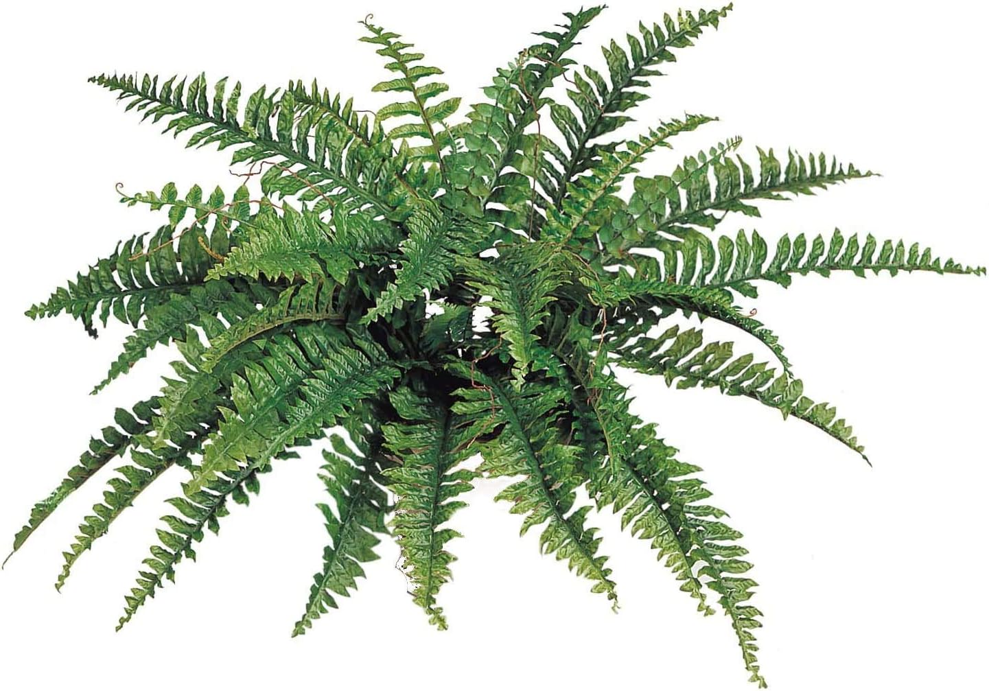 34" Artificial Boston Fern Plant – 42 Realistic Silk Fronds – UV Resistant for Indoor & Outdoor Use – Ideal for Patio, Garden, Home & Office Décor
