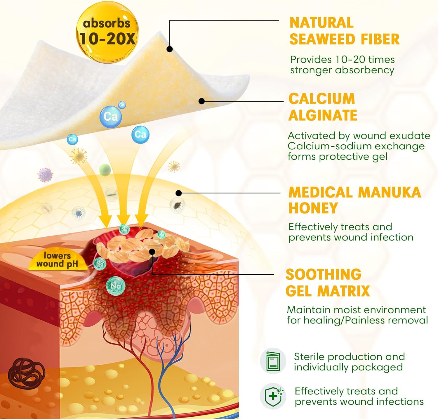 Manuka Honey Calcium Alginate Wound Dressing, 3×3 Inches, 12 Individual Pack- Wound Care for Moist Healing, Highly Absorbent Dressing with Calcium Alginate for Pressure Sores, Ulcers, FSA or HSA
