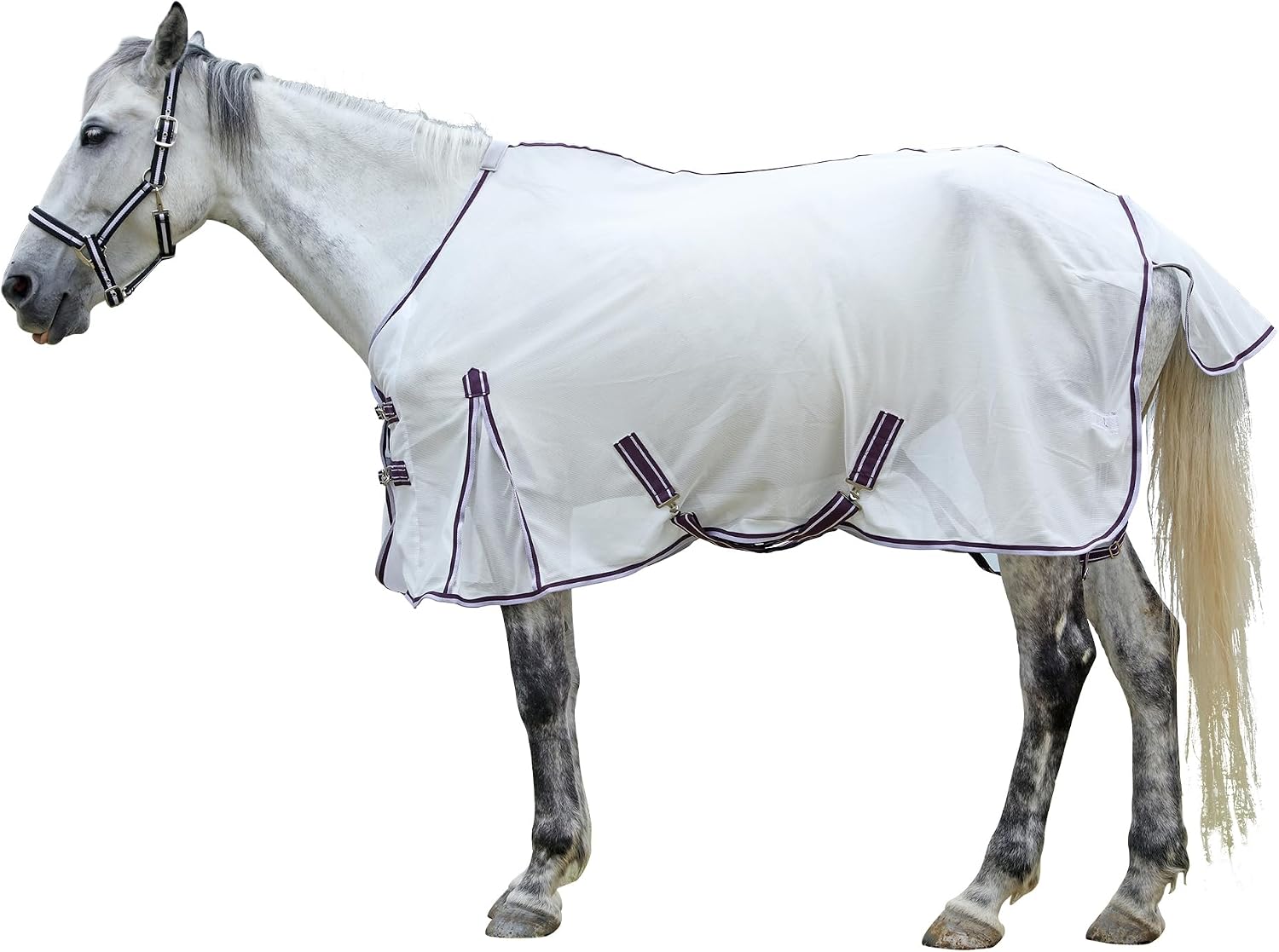 LEAFOREST Breathable Mesh High Airflow Fly Sheets for Horses UV Protection | Lightweight Soft Summer Standard Neck Sheet White, 78"