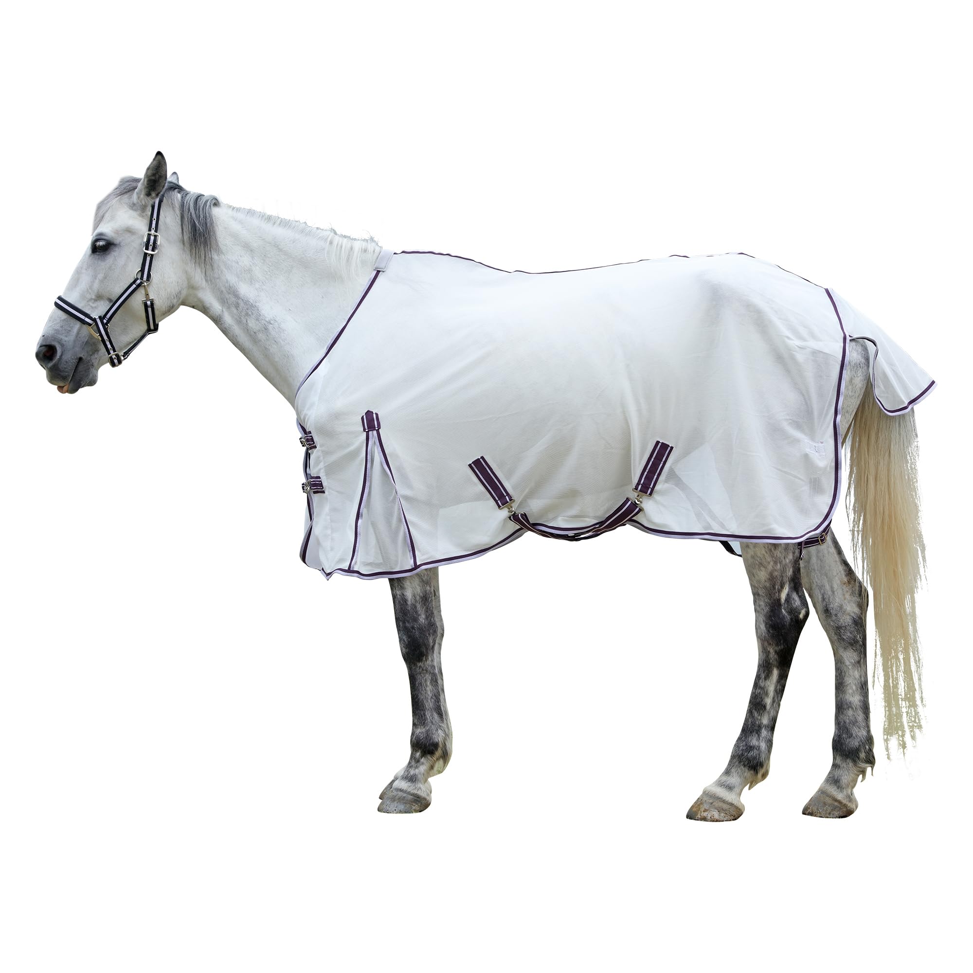 Malla transpirable de alto flujo de aire en sábanas para caballos LEAFOREST blancas de 72''