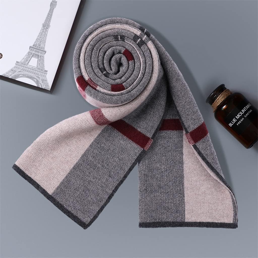 1pcs Fashionable Men's Scarves, Warm in Autumn and Winter, Korean Business All-Match(D)
