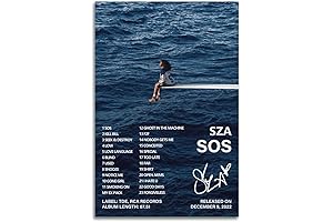 Sza Poster | Budget-Friendly Wall Art