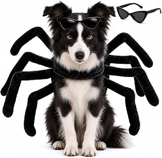 2027 New Halloween Spider Costume for Dogs & Cats, XXL(Big Dog)