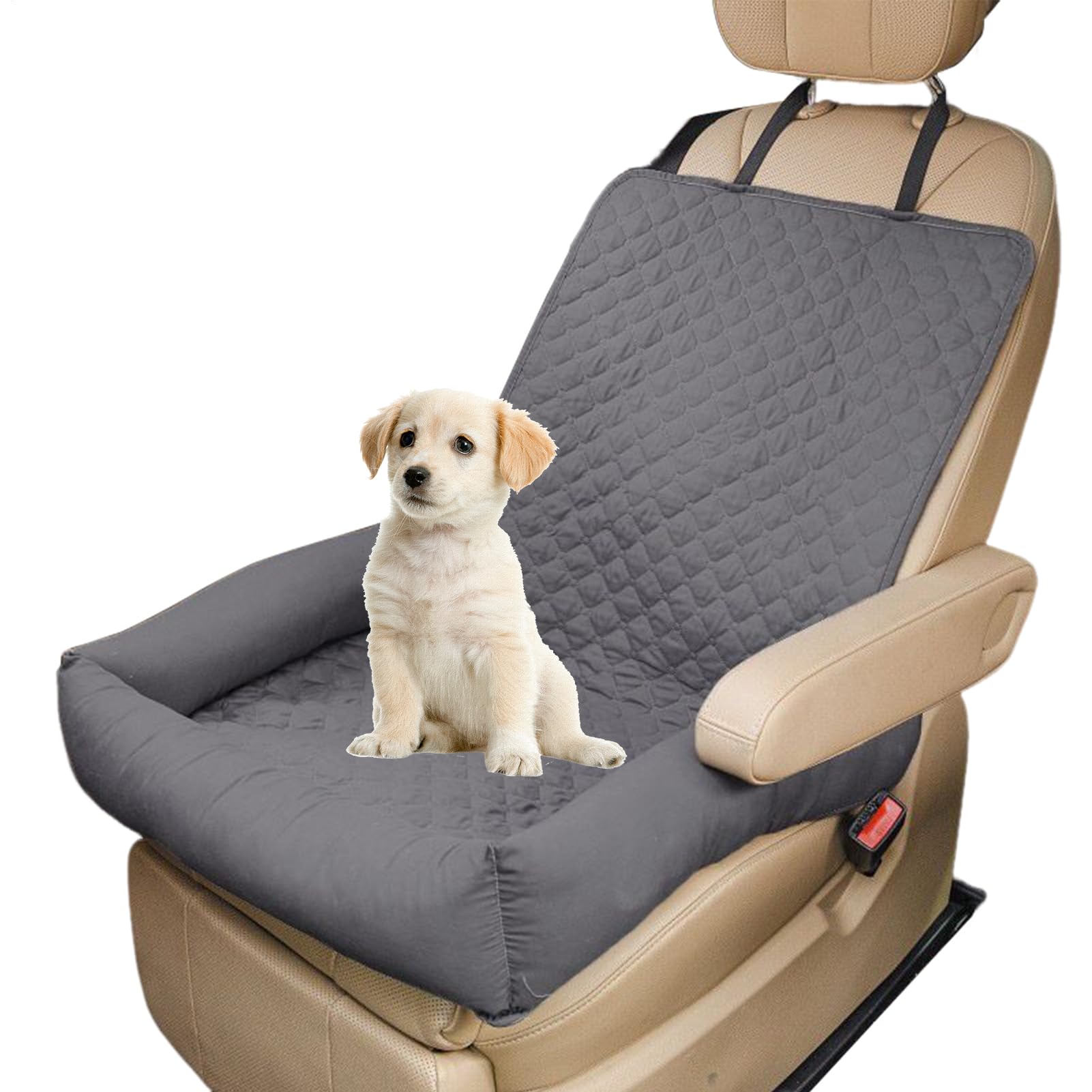 Tapis de refroidissement pour animal de compagnie doux pour chiots et chatons