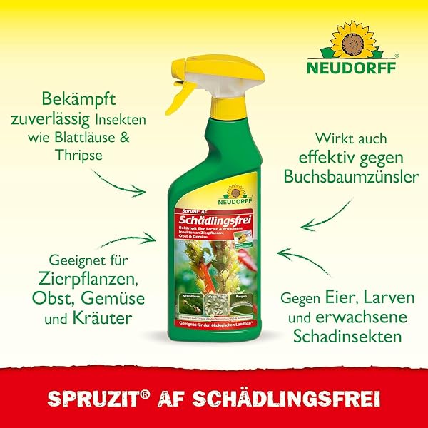 Neudorff Spruzit AF Schädlingsfrei – Bekämpft Schädlinge wie Buchsbaumzünsler, Blattläuse, Thripse an Zierpflanzen, Gemüse, Obst und Kräutern, 500 ml - 2