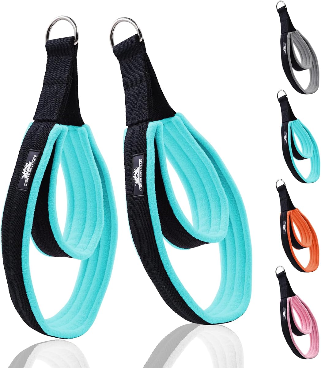 Pilates Double Loop Straps for Reformer, Thickened D-Ring Handle Fitness Straps, 2 Lengths Multicolor Yoga Accessories for Home Workout