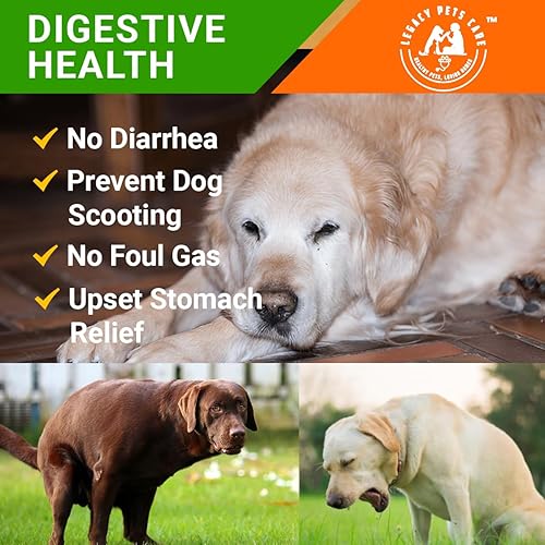 Miniatura 3 de Probióticos masticables suaves para perros, 120 unidades  Cuidado intestinal completo para apoyo digestivo e inmunológico  Probióticos para la salud