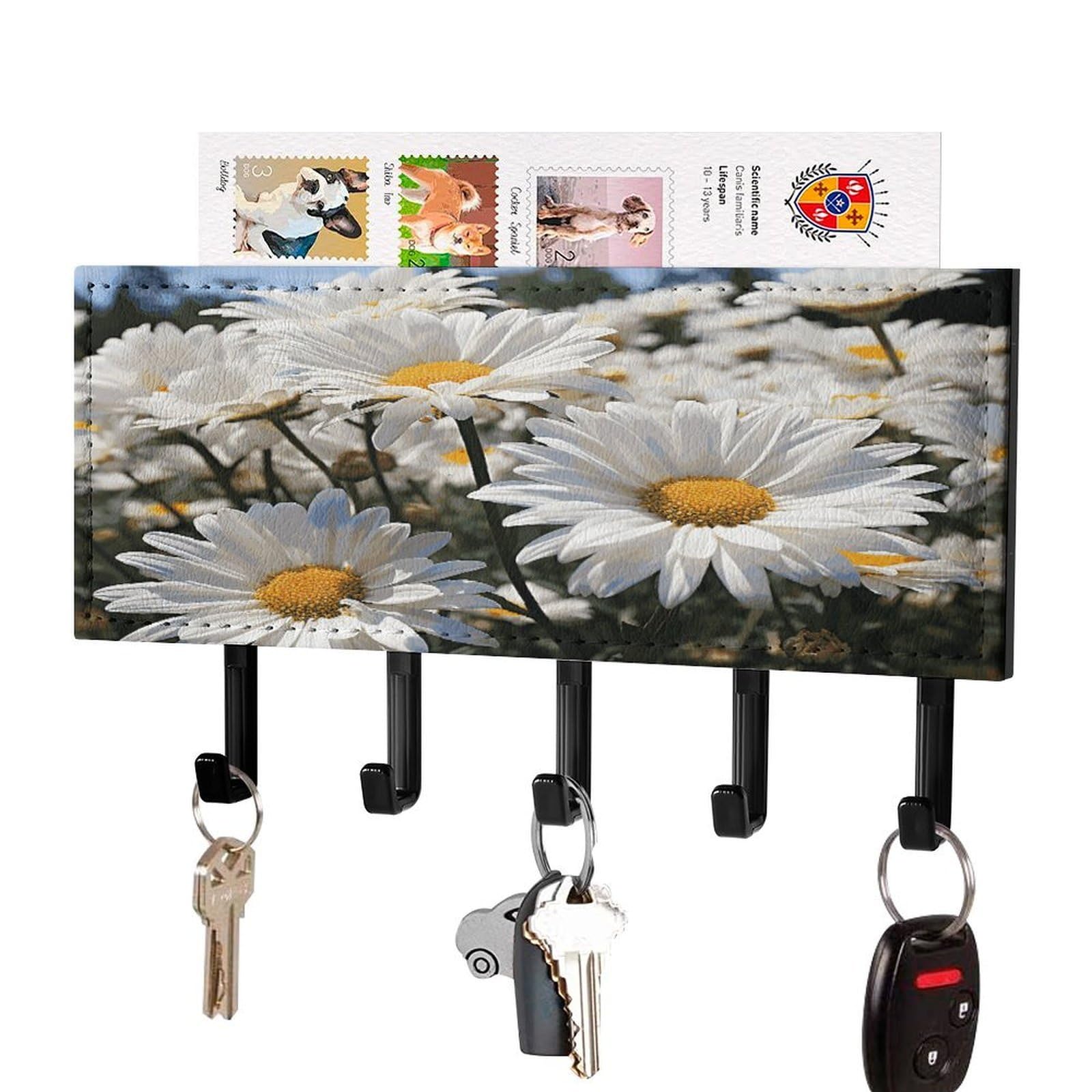 MUSM Wild White Daisies Key Holder for Wall,Mail Organizer Wall Mount with 5 Hooks,Easy Installation Key Rack for Home Decor, Hallway, Entryway, Appartment