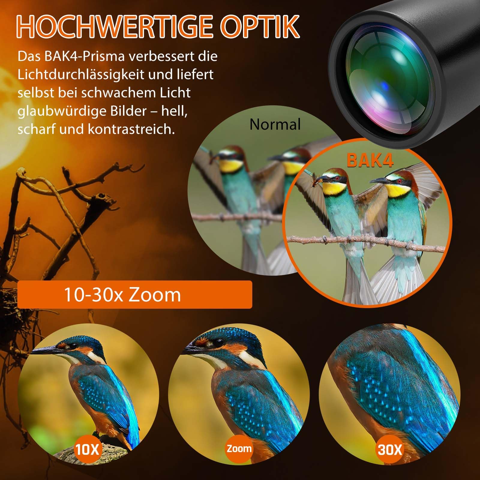 10–30x50 Zoom Fernglas für Erwachsene, HD Fernglas für Vogelbeobachtung | Reisen, Jagd, Konzerte mit großer Sicht, BAK4, FMC-Objektiv, klare Sicht bei schlechten