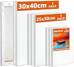 Koncci Stretched Canvas, 10 Packs- 4x6, 6x8, 8x10, 10x12, 12x16 Inch, 280GSM Stretched Wooden Canvas Frames for Acrylic Oil Watercolor, Artist & Beginner