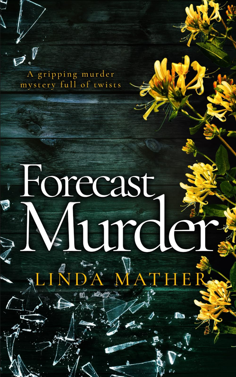 FORECAST MURDER a gripping murder mystery full of twists (Jo and Macy Mysteries)