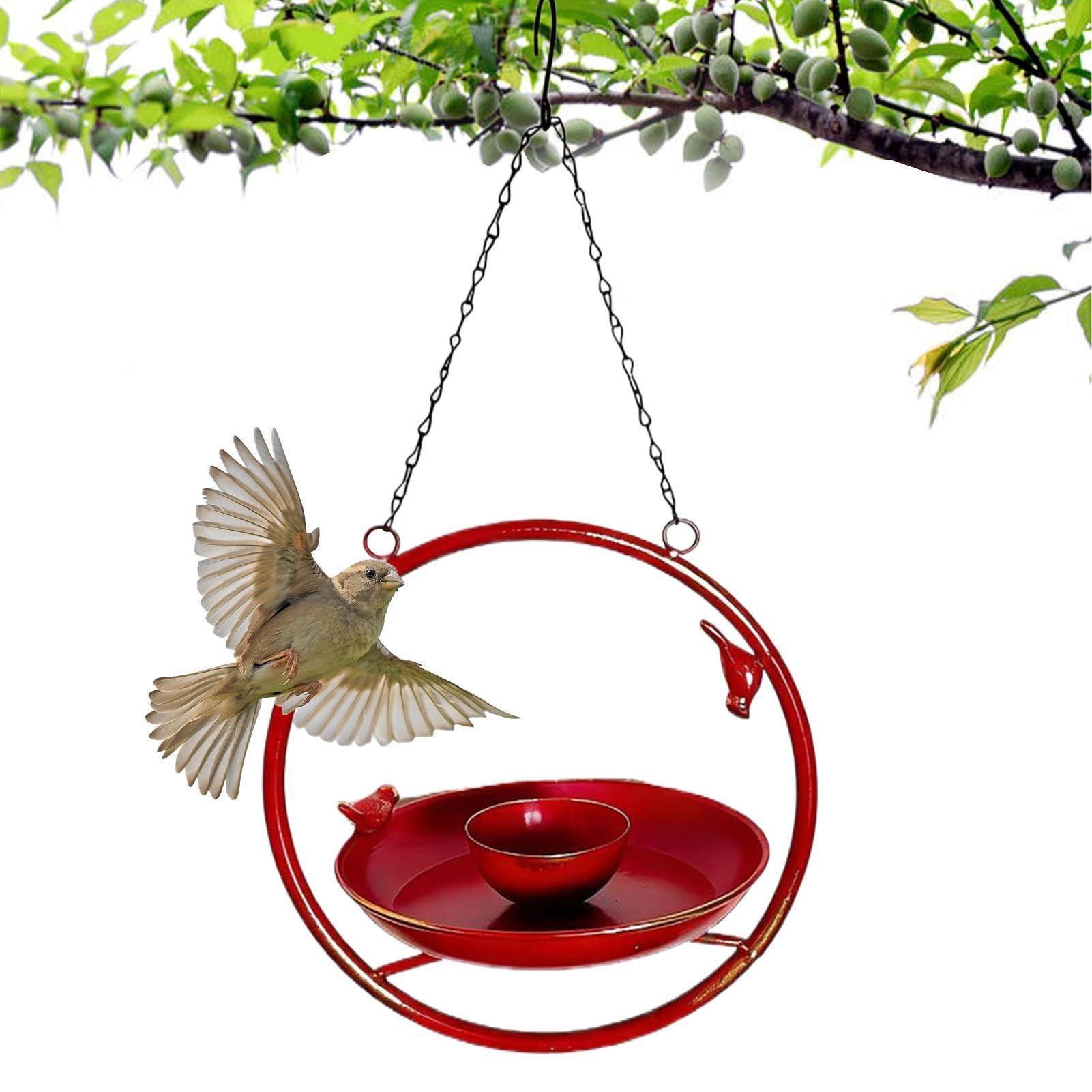 Abreuvoir oiseaux de jardin suspendu pour stopper le manque d'eau