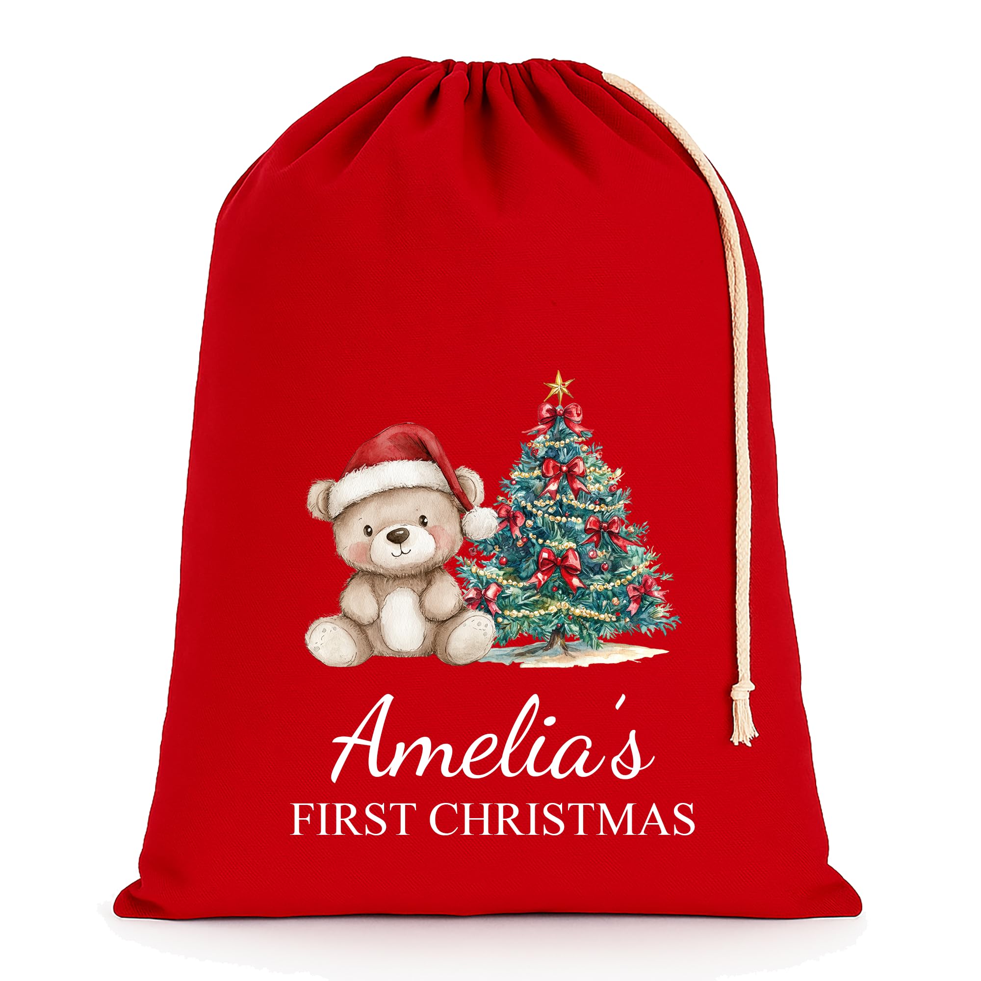 Chicken Craft Personalised Baby's First Christmas Santa Sack with Custom Name - Red - My 1st Xmas Keepsake Gift for Boys or Girls (Red Teddy, Extra Large)