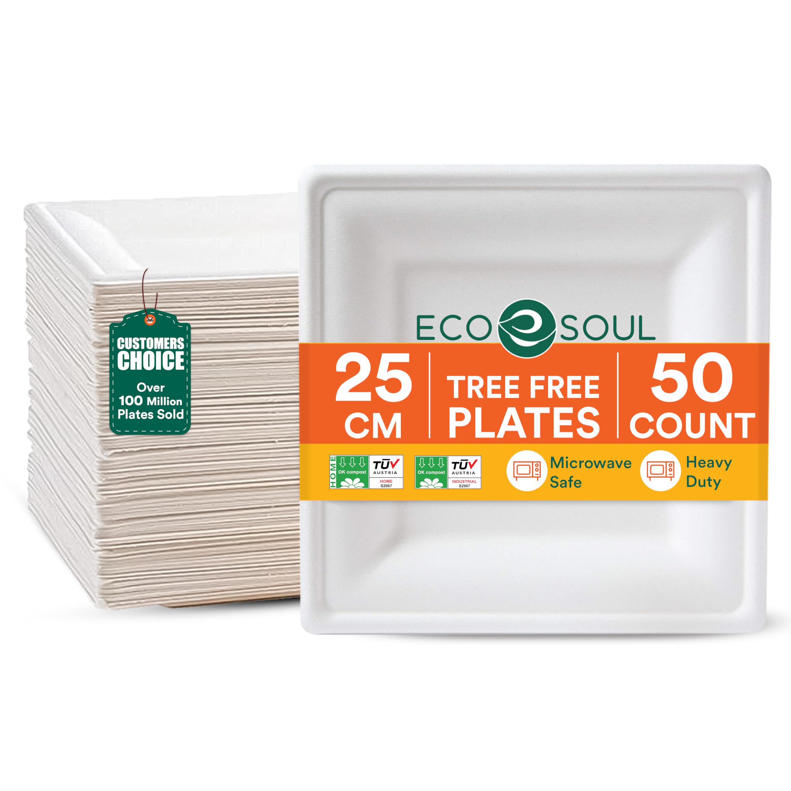 Assiettes en carton jetables 100% compostables vaisselle robuste