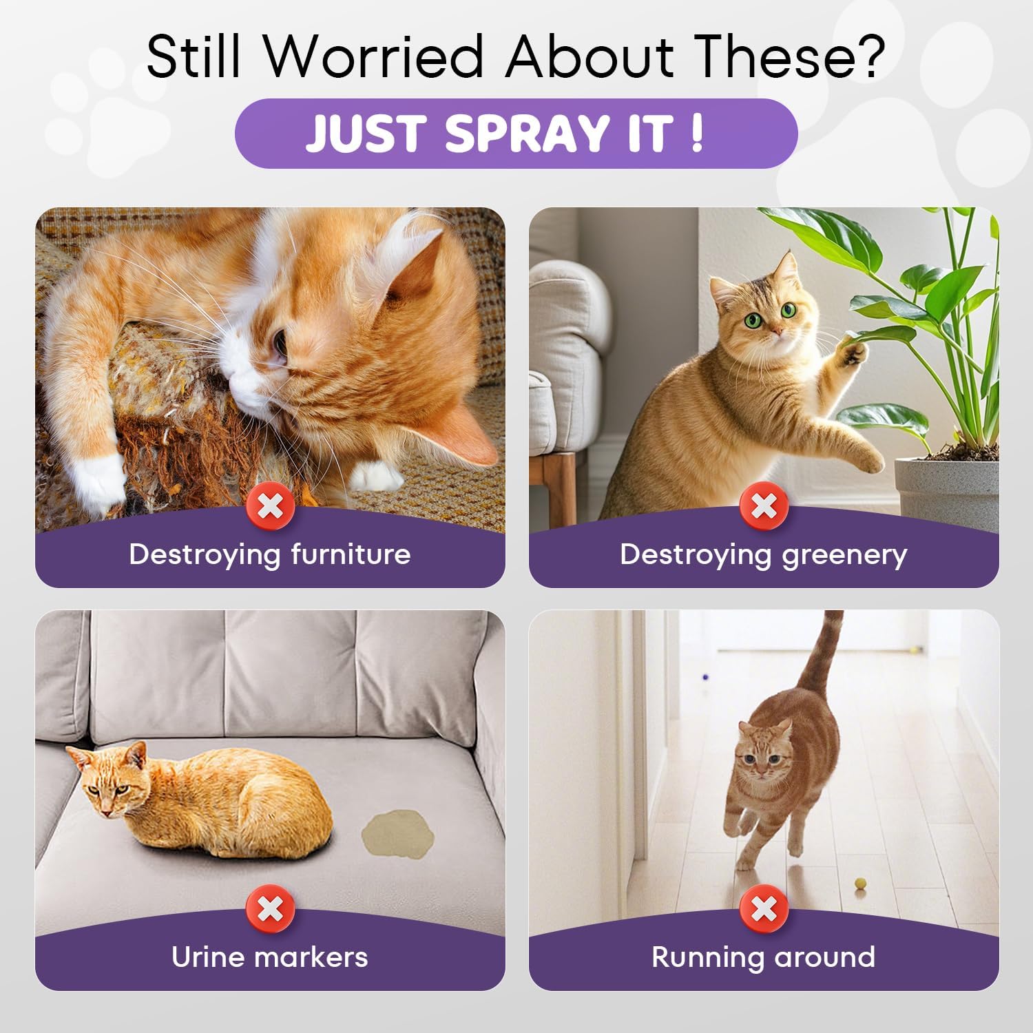 Cat Deterrent Spray 2 Pack Effective Cat Repellent Spray | Furniture Protection, Natural Safe Indoor & Outdoor Training Aid to Stop Scratching, Chewing & Spraying Urine