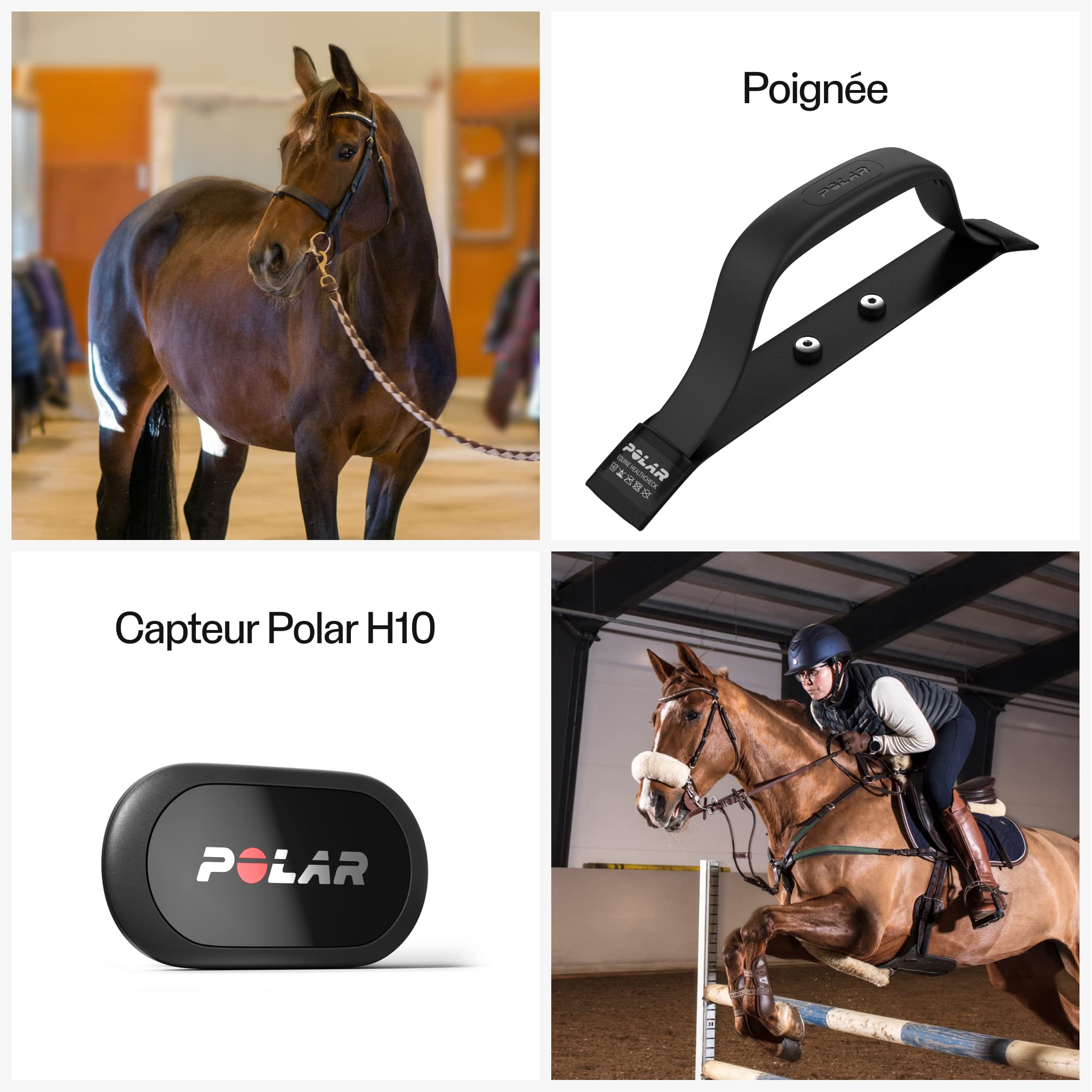 Polar Mixte Equine Cardiofréquencemètre Cardiofr quencem Tres pour Cheval, Noir, Taille Unique EU