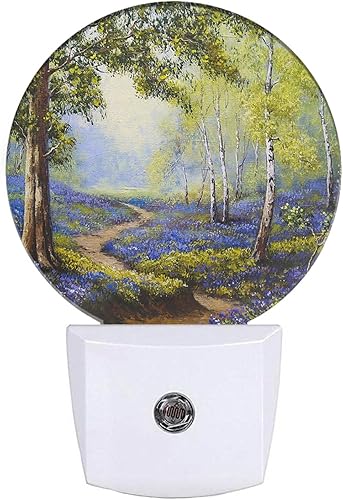 EKOBLA Luz nocturna, luz nocturna enchufable, campo de fútbol americano, bola deportiva, luces nocturnas enchufables a la pared, luz nocturna LED