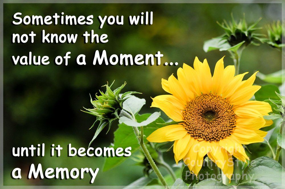 Countrystyle Gifts White Gardeners Sunflower Fridge Magnet Gift - Inspirational Quote Value The Moment. Perfect Exclusive Birthday Or Christmas Gift