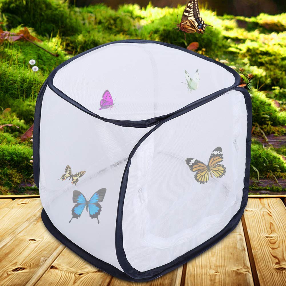 Outdoor Pieghevole Cage Habitat - Fine Mesh Stops - 5 Pannelli reticolari per Flusso d'Aria - con Grande Apertura a Cerniera - Pannello Trasparente per Una Facile