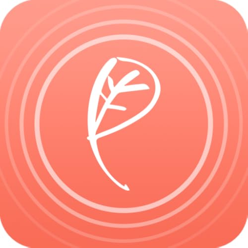 Beauty Meditation