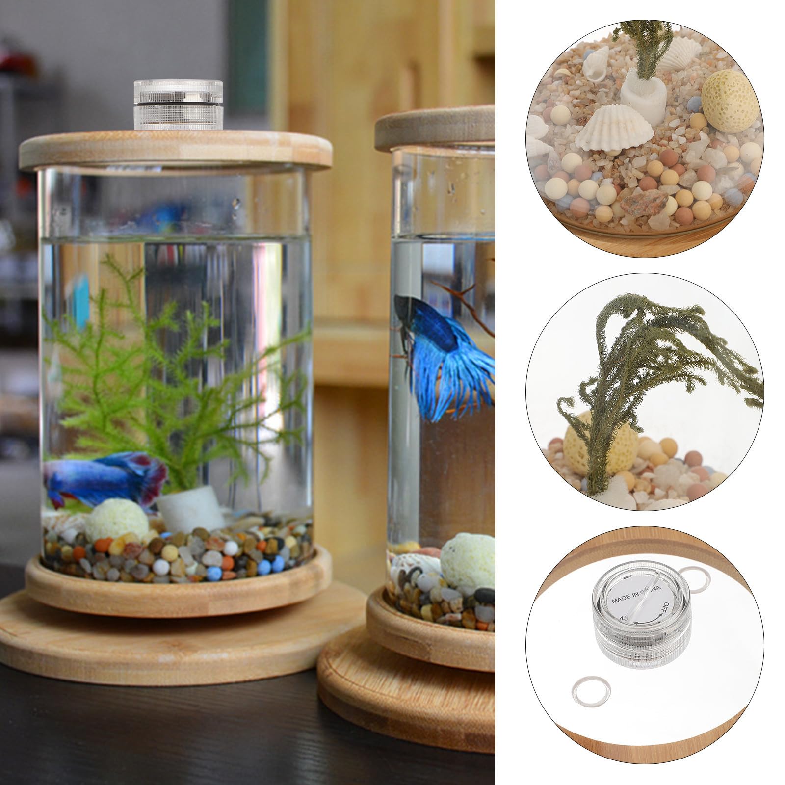 Dekoratives Aquarium für Schreibtisch als Büroaccessoire, Grün